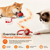 Perro y gato jugando con la pelota interactiva SmartBounce