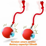 SmartBounce pack doble
